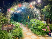 김해 장유 대청계곡 소담정원에도 수국수국