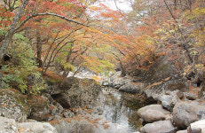 지리산 칠선계곡 특별보호구역 빗장 열리나