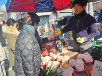 설 앞두고 무, 배추 등 채소, 배 등 과일류 오름세