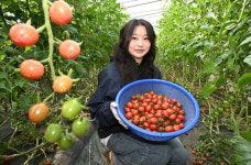 [사니다] 토마토에 꽂힌 젊은 농부, 농사도 판매도 힙하게