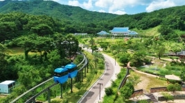 3.1절 연휴, 합천 대장경·영상 테마파크 어때?