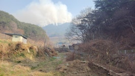 [사진뉴스] 산불 난 하동 옥종면 인근 모습