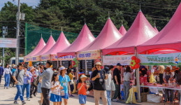 합천 대양 유기농 토마토 축제 북적북적
