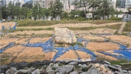 고인돌 언제 보나...김해시 구산동 지석묘 유적 훼손 3년째 정비 지연