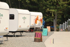 창원 저도 오토캠핑장에서 열린 미술 시장