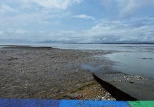 [경남 폭우] 남강댐 대규모 방류에 사천만 바다 쓰레기장