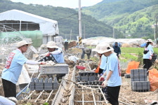 [재난 덮친 경남] 공공시설 응급복구 51.3%…산청 상수도 정상화