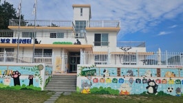 통영시 용호도에서 1회 고양이 섬 축제…어촌에 활력을