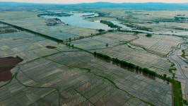 비밀결사 항전과 민족해방 상징, 권력자엔 불편한 대상일 뿐