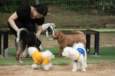 댕댕이들의 행복한 순간