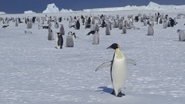[사진찍다] 산악인 이영호 씨가 사진으로 기록한 남극