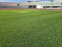 밀양시시설관리공단 종합운동장 잔디 복원