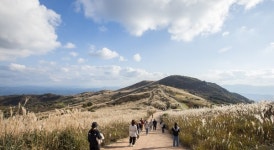 축제 끝났지만 황매산 억새, 11월 초순까지 감상 가능
