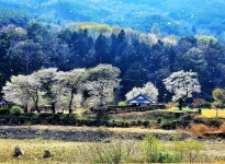 산청 차황면 골프장 예정지 이곳만은 지키자! 수상