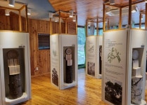 [박물관에 놀러가자] 39. 나무와 만나는 삶…김해목재문화박물관