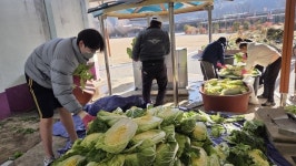 합천 삼가중학교 김장 담그기-먹을거리 한마당