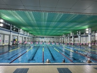 창원 시민생활체육관 수영장, 유충 발견으로 휴장