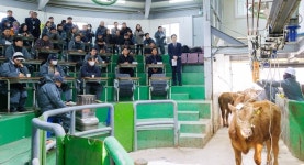 한우 대표 브랜드로 성장 기원 합천황토한우 초매식