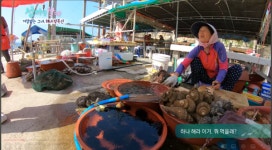 KNN 해양수산 전문 유튜브 채널 운영