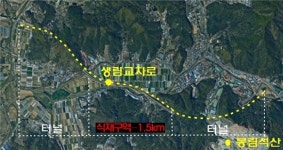 김해 낙동강대로 이팝나무 가로수길, 5월 활짝