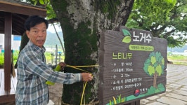 거제시 노거수 DB 기초정보 곳곳 오류…공공용역 검증체계 도마
