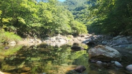 지리산 장당골 비경, 그 속에 담긴 보물