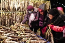 고성명태축제, 강원도 우수지역축제로 선정