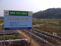 안산시 도심속 유휴지, 친환경 녹색공간으로 재탄생