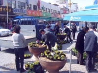대전 동구 중앙시장 ‘봄꽃이 활짝! 미소가 활짝!’