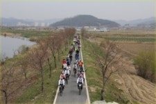 해맑은 봄날, 두바퀴로 보청천 벚꽃길 누비다!