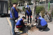 맥문동으로 가로환경 사시사철 푸르게