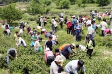 왕의녹차 올리는 이색 경로잔치 ‘차수연회’