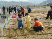 안성시, 친환경 지역공동체 텃밭농원 개장