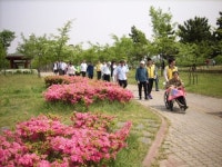 안산 단원구, 장애인과 함께하는 문화체험  싱그러운 봄빛 나들이