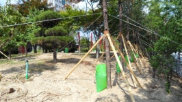 대전시, 조경 수목 가뭄대책 ‘총력’