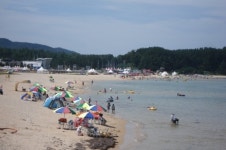 고성군, 2012 Hot Summer Beach 씨름대회 개최