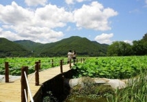 커뮤니티디자인에서 발견한 ‘마을공동체’