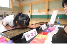 운동회와 함께 즐기는 어린이 건강박람회