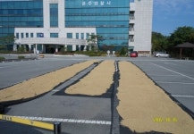 공주서 직원 주차장, 농산물 건조장으로 농민에 개방