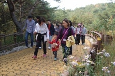 송강 정철이 거닐었던 길, 나도 따라 가볼까