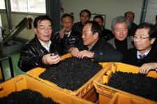 “제주산 톳 원초, 육지반출 막겠다”