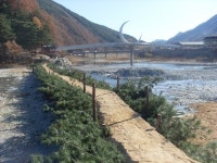 정선 아우라지강 풍경과 어울린 전통섶다리 구경하러 오세요