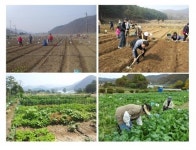 서울시, ‘희망서울 친환경 주말농장’ 신청하세요