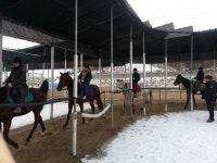 화성시, 4월부터 가족과 함께 하는 축산체험장 운영