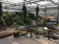 도심속에 꽃 피는 아름다운 안산식물원