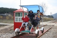 레일바이크로 봄을 달린다