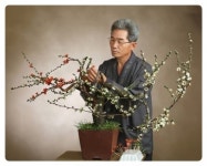 公州 한옥마을, 매화꽃에 취하다