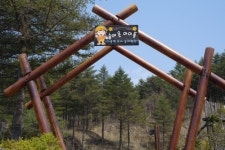 강릉국유림관리소 숲해설가, 대굴령 유아숲체험원 견학
