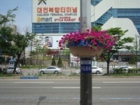 대전 동구, 도로명주소 시범거리 조성 완료