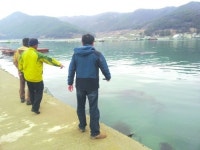 대규모 해초 군락지 확인